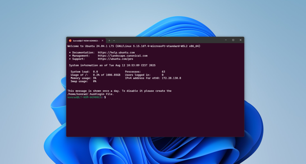 Uruchomione Ubuntu 24.04.1 LTS w Windows Subsystem for Linux 2 (WSL 2) na Windows 11 – terminal z informacjami systemowymi